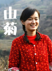 日韩视频在线观看一区